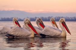 开云平台-美加墨世界杯之夜，当克莱的舞台无限延伸，传奇便没有边界