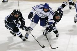 开云体育官网-约基奇式统治力！广厦决胜局关键节点连续得分击溃北京