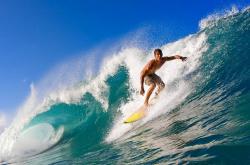 开云体育官方网站-魔术狂胜奇才，切特主宰比赛走向