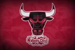 开云体育下载-风暴来袭，黄蜂主场狂胜鹈鹕，季后赛版图再添变数