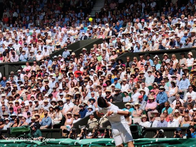 德国网球队绝地反击法国网球队，费德勒制霸全场的简单介绍