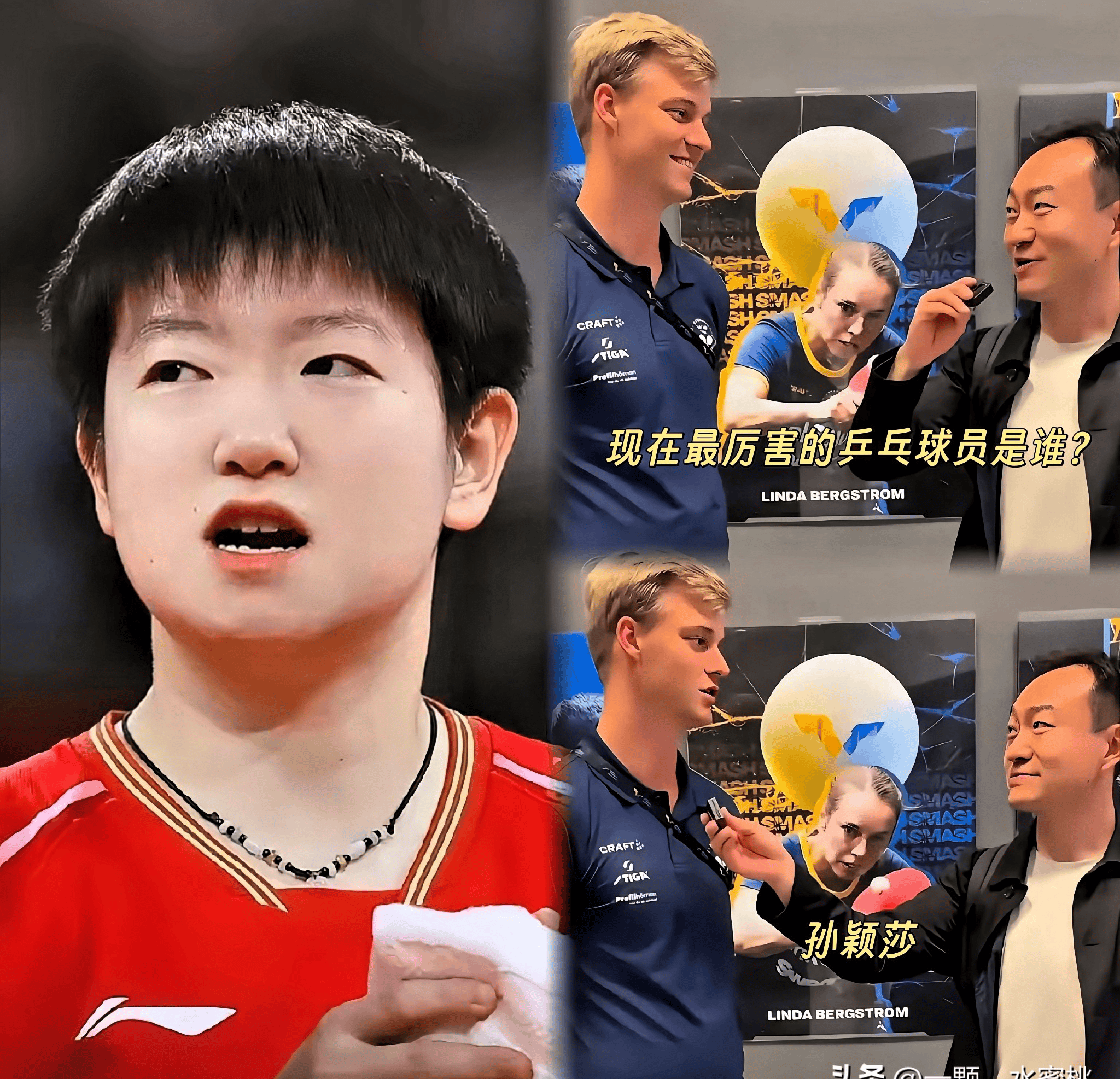 包含瑞典乒乓球队力克波兰乒乓球队，张继科绝境逆转的词条