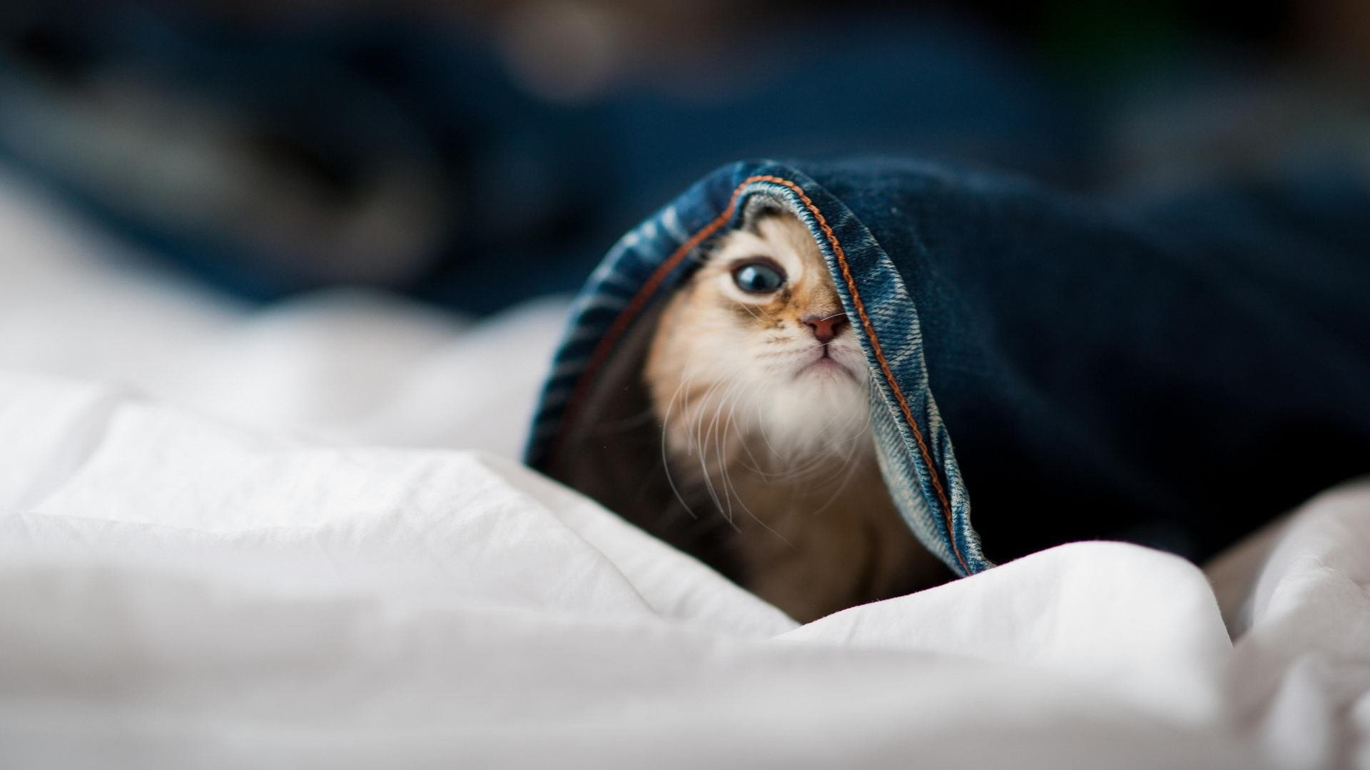 基耶萨闪耀全场无争议，玻利维亚轻取马里展现实力