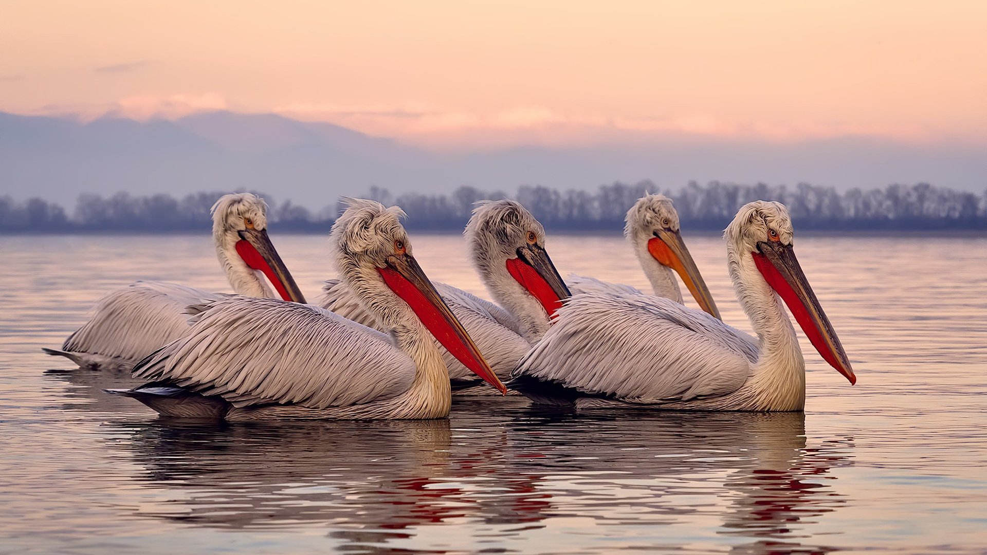 美加墨世界杯之夜，当克莱的舞台无限延伸，传奇便没有边界