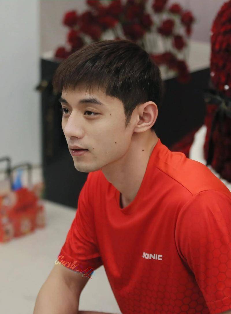 法国队轻取瑞典队,张继科高光表现的简单介绍 法国队轻取瑞典队,张继科高光表现的简单介绍