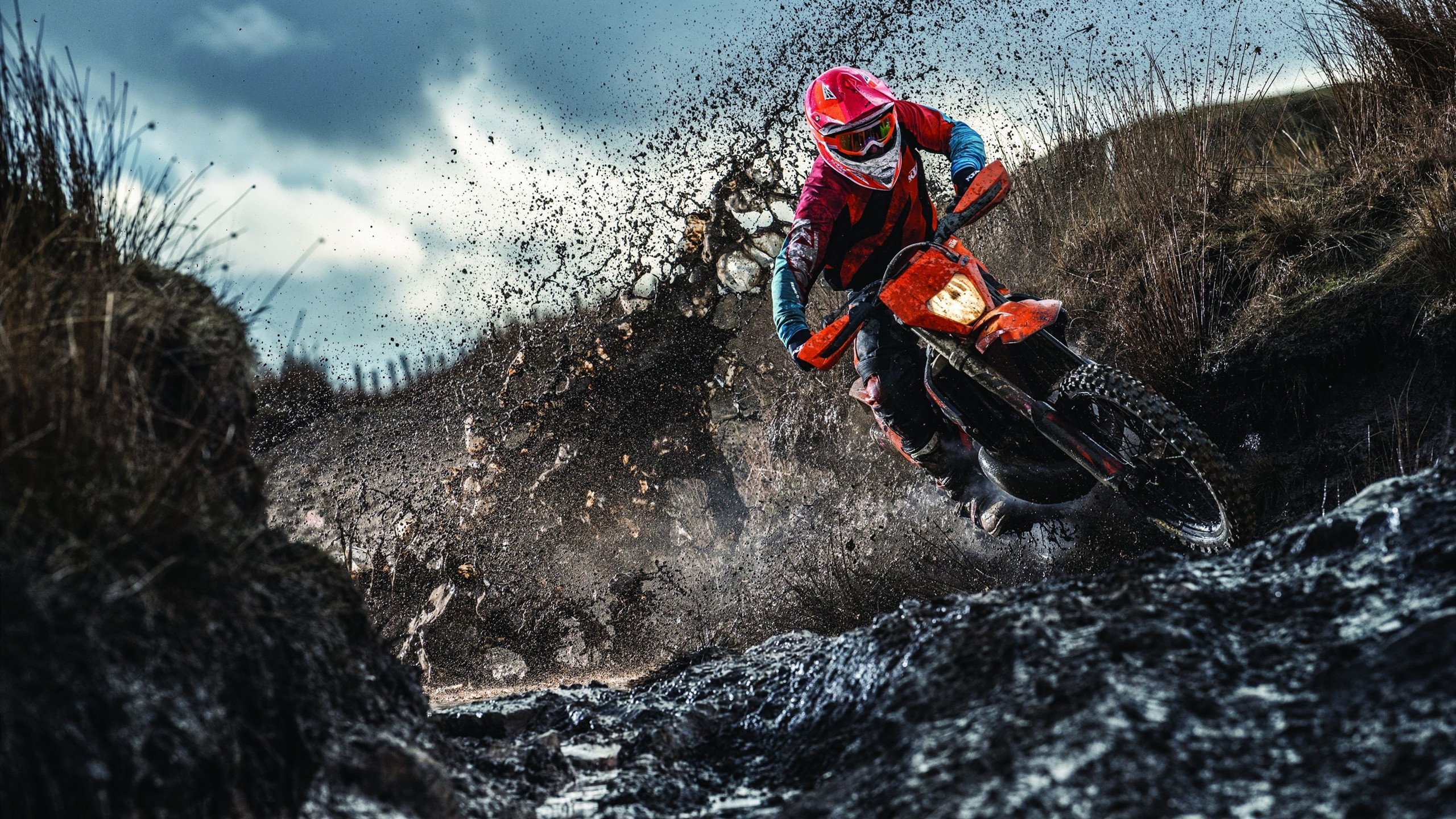 波斯铁骑与北欧神塔，当伊朗斩落罗马，伊布在欧冠决赛接管比赛