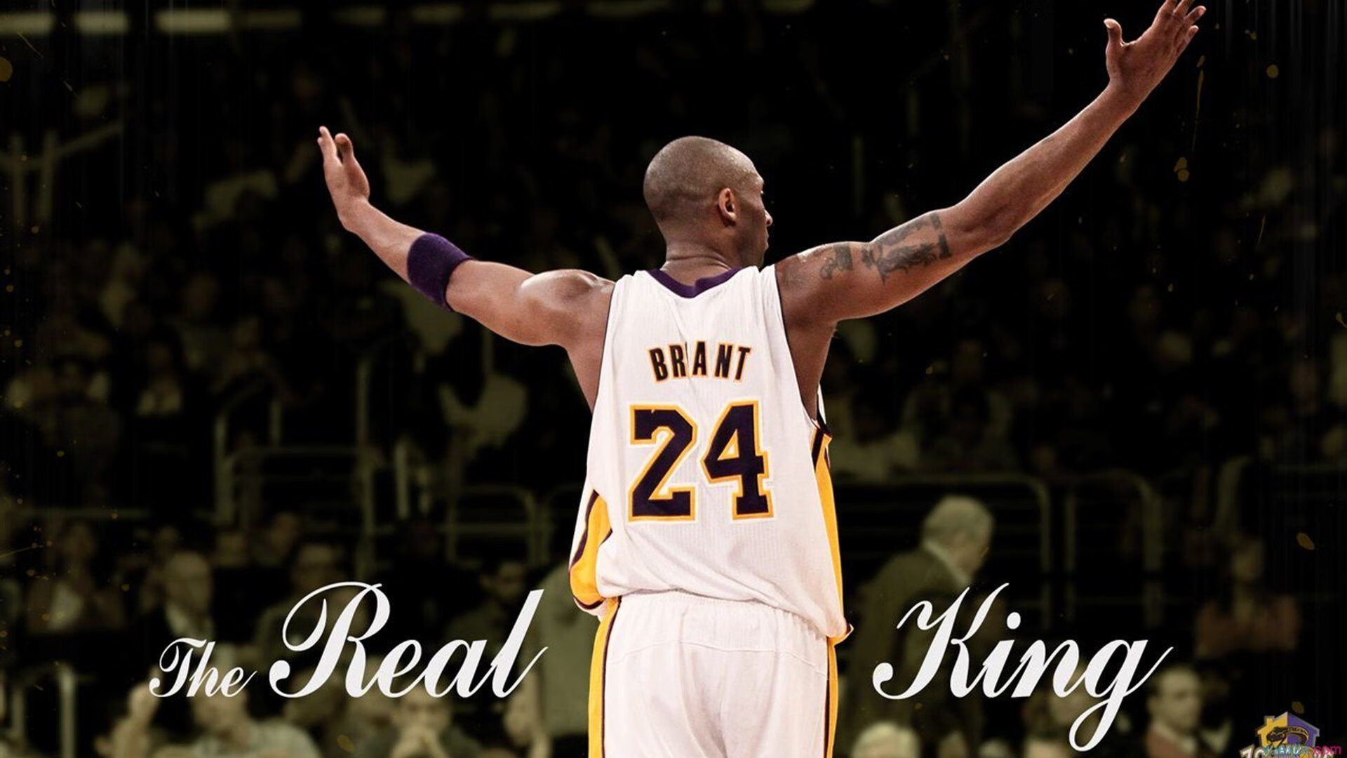 戈贝尔关键节点连续得分 上海队硬仗取胜奇才